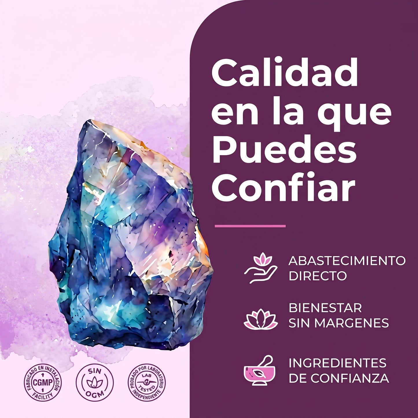 Magnesio EverHealth® 20 en 1 para Mujeres